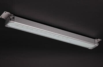 1663658774335771.jpg LYNA.jpg