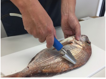 1663661759643065.png 电动刮鳞机.png